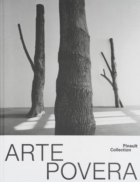 Arte povera - Pinault collection