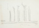 Alberto Giacometti / Giorgio Morandi - Moments immobiles