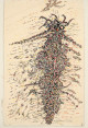 Henri Michaux - The Mescaline Drawings